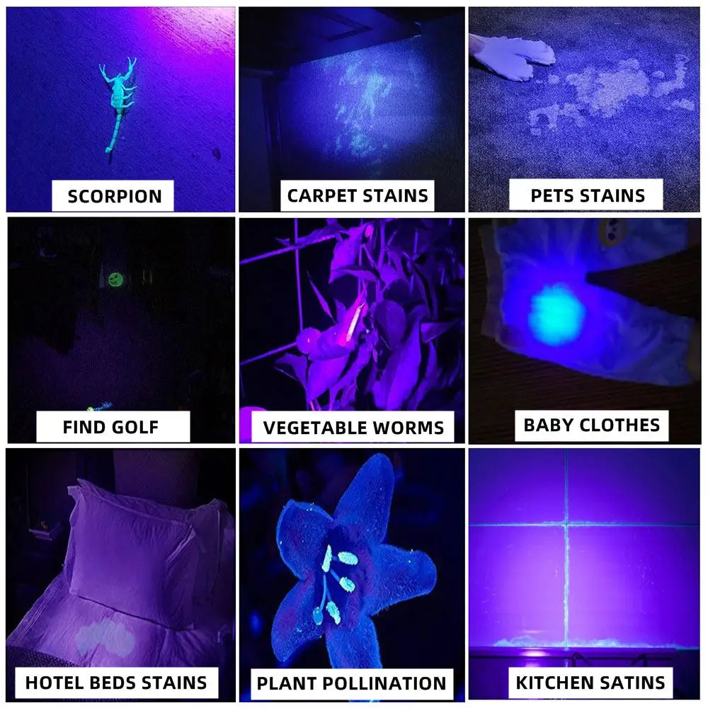 SV005 10W 365nm UV Flashlight USB Rechargeable Ultraviolet Invisible USB Torch Pet Urine Stains Ore Scorpion Detection Lamp