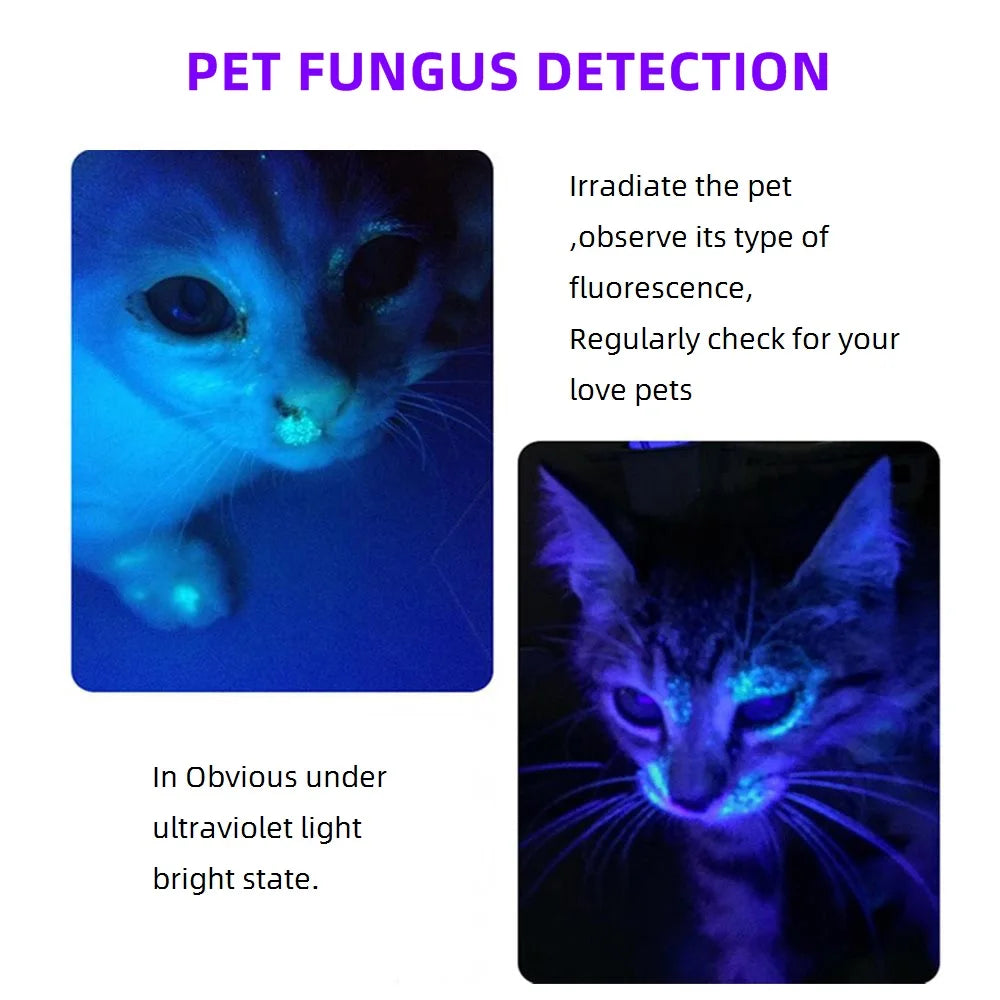 SV005 10W 365nm UV Flashlight USB Rechargeable Ultraviolet Invisible USB Torch Pet Urine Stains Ore Scorpion Detection Lamp